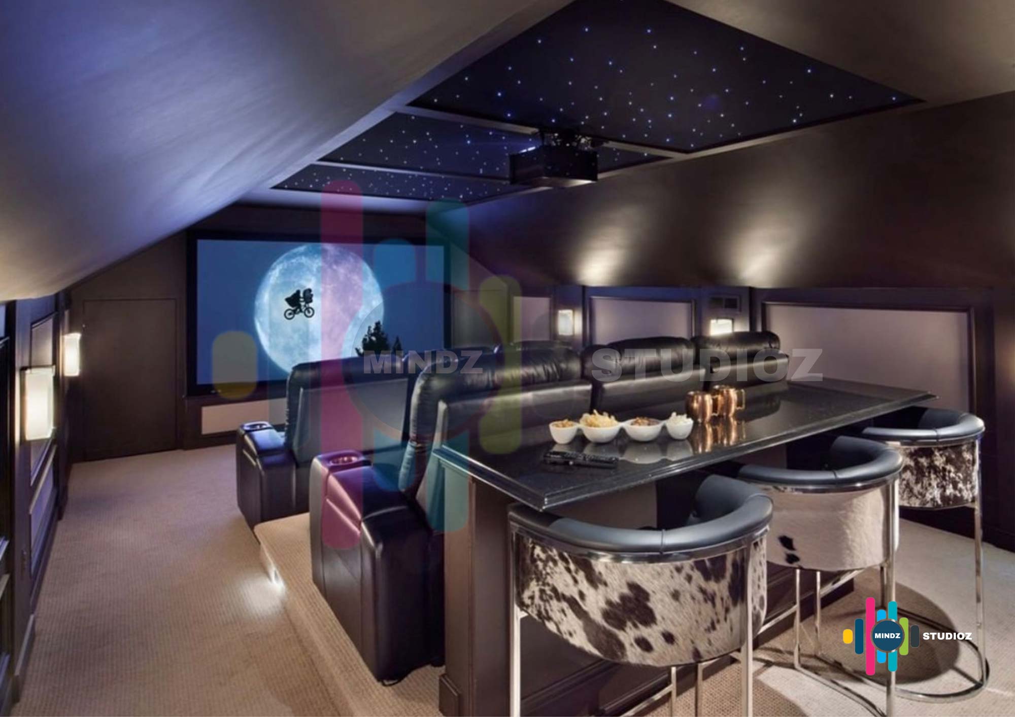 Mindzstudioz-cinema-IMG_3718